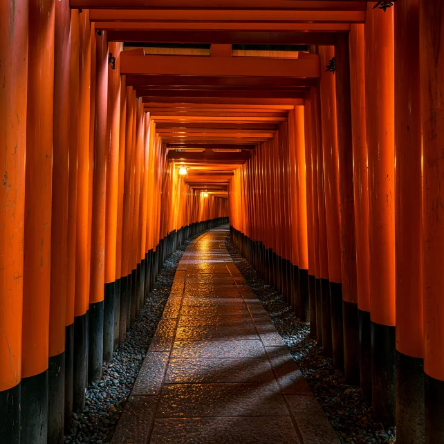 Kyoto temple lane, golden hour